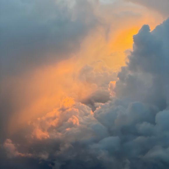 Meet your Posher, Karen - Picture 1 of 1